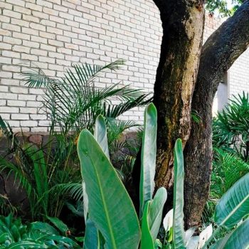 Muro / Azulejo Piedra Old Brick